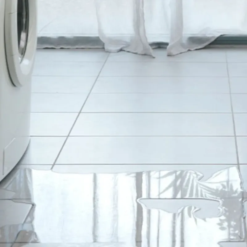 Appliance Leak Cleanup in Baidland, PA