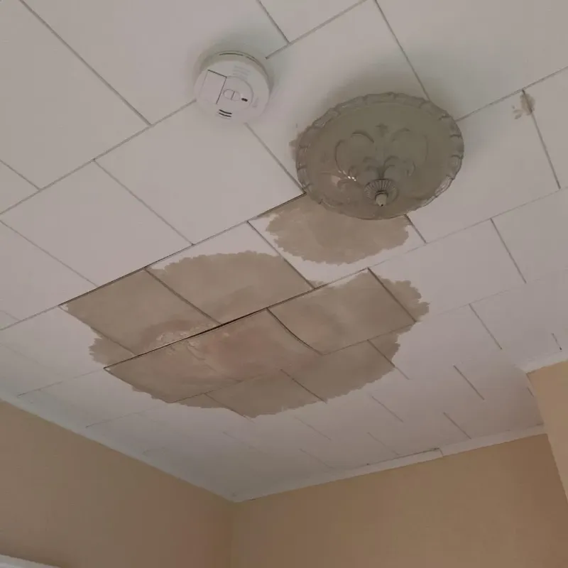 Ceiling Water Damage Repair in Baidland, PA