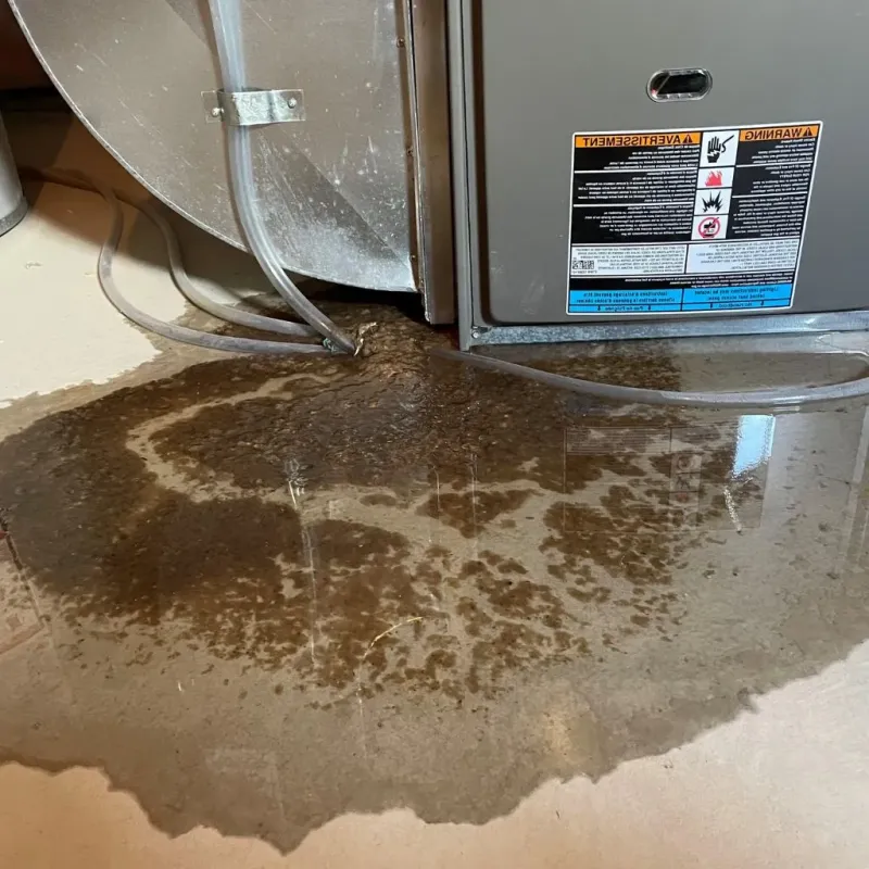 Pipe Burst and Leak Restoration in Baidland, PA